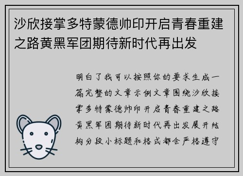 沙欣接掌多特蒙德帅印开启青春重建之路黄黑军团期待新时代再出发