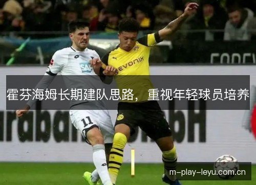 霍芬海姆长期建队思路，重视年轻球员培养